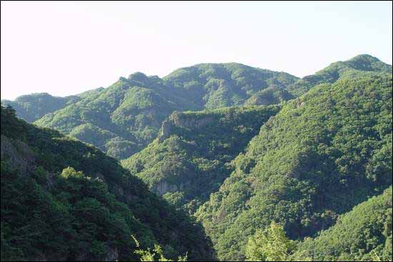 세상과 사람에 힘들어 질 때, 안온한 산세로 사람을 안아 주는 응진전 조망 